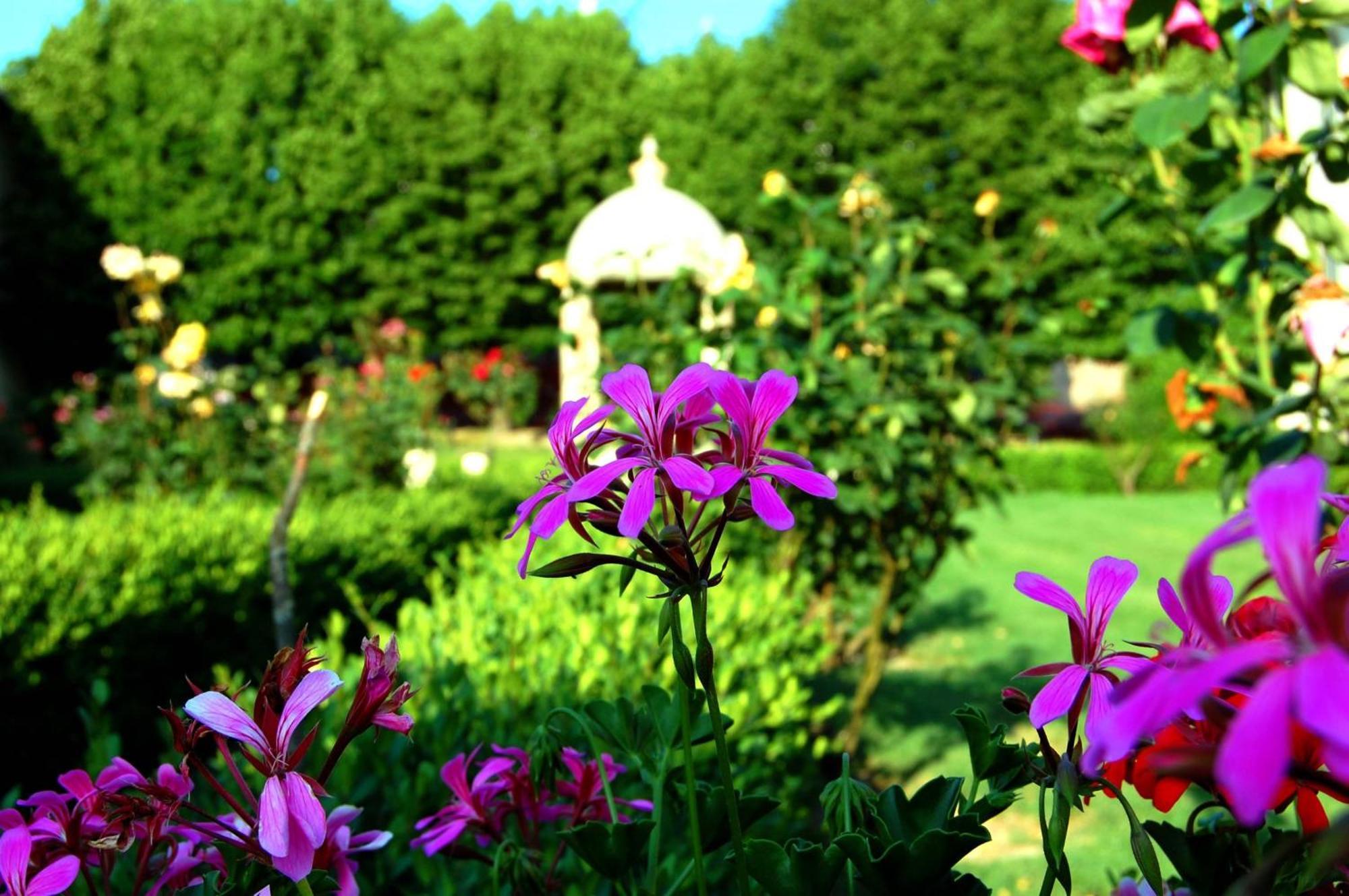Hotel Villa San Donino Città di Castello Buitenkant foto