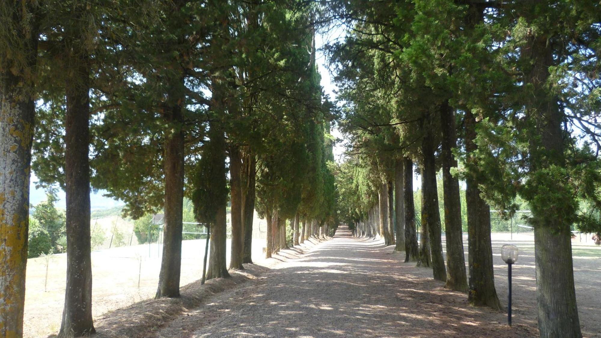 Hotel Villa San Donino Città di Castello Buitenkant foto